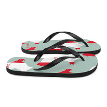 Load image into Gallery viewer, Peru Map Flip-Flops
